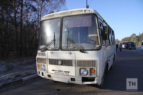 Бакчаларга автобусларда йөртәләр