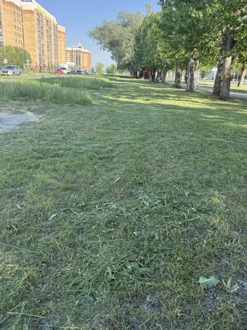 22 майга һава торышы