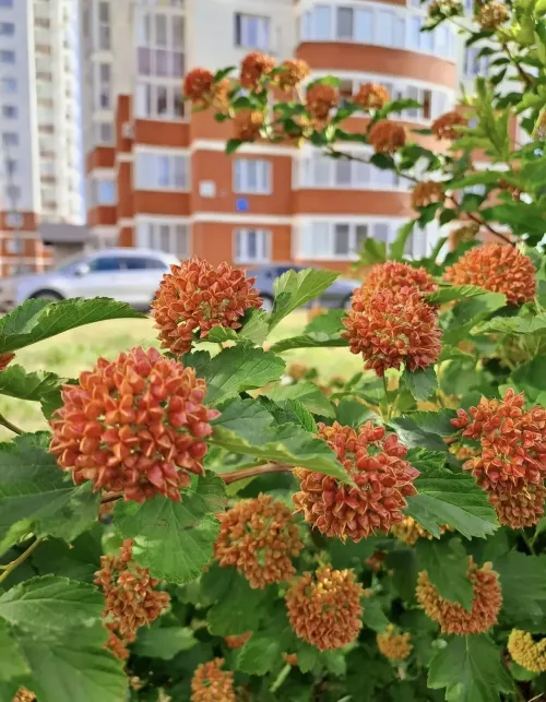 Июньнең соңгы көне яңгырлы була
