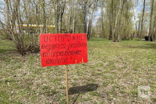 Чаллыда талпаннарга зарланучылар кимеми