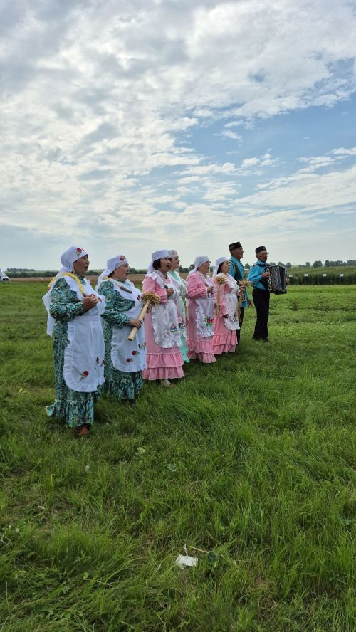 Урып-җыю сынаулар белән башланды