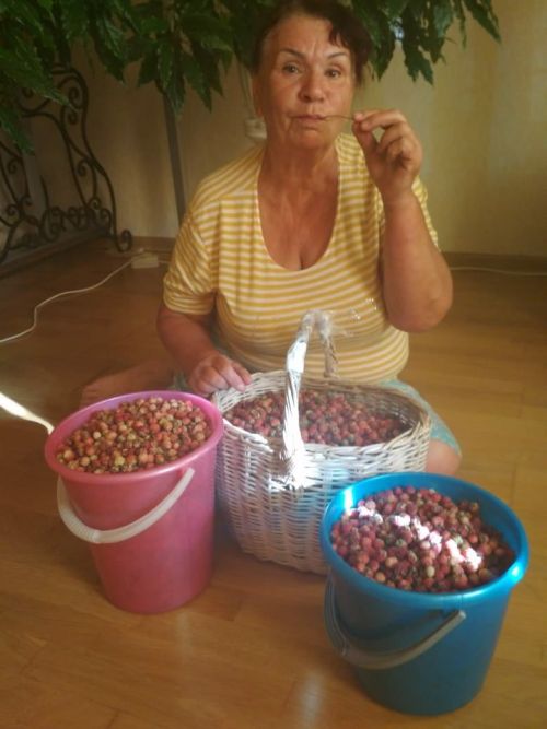 Артист Гөлүсә Гайнетдинова: «Җәй - нигъмәтләр чоры»