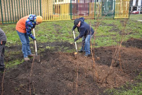 "Притяжение" торак комплексында агач утырту