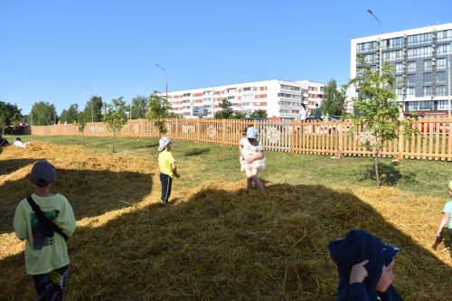 Сабантуй-2023 (мәйдан) һәм көрәш ярышларыннан фотомизгелләр
