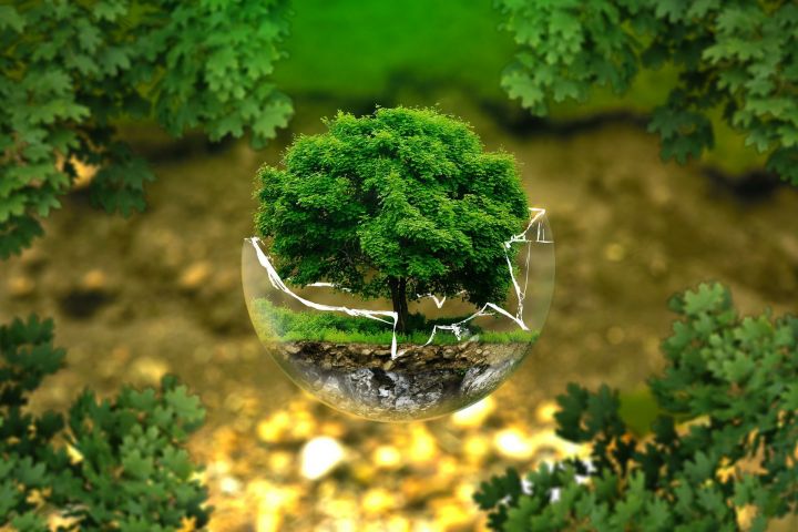 Экологическое движение “Чистый лист” приглашаем всех челнинцев на эколекторий!