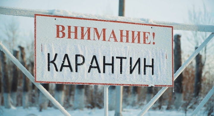 Россиянең 41 төбәгендә карантин чаралары кертелгән