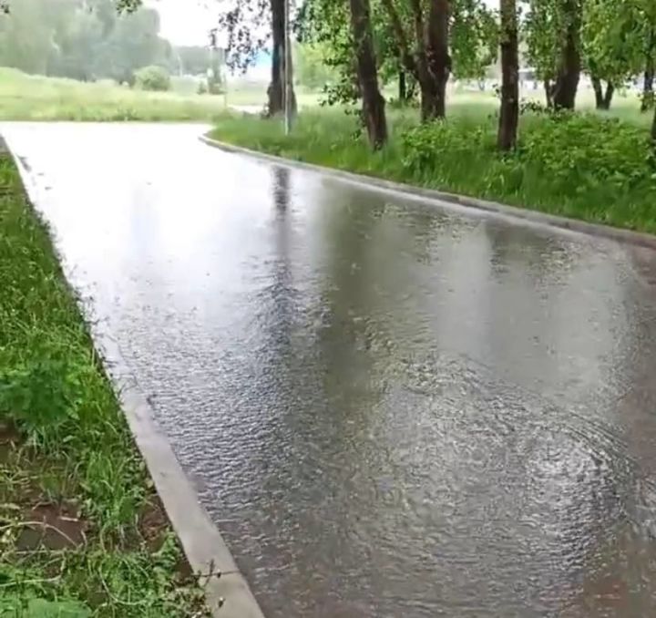 Сидоровканы су баскан - ВИДЕО