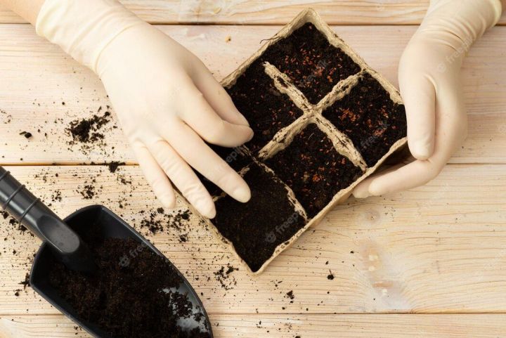 Үсентеләр утыртыр өчен туфракны дөрес әзерләгез
