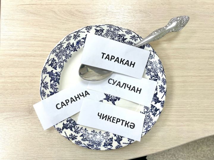 Бөҗәкләр ашарга тәкъдим итәләр?