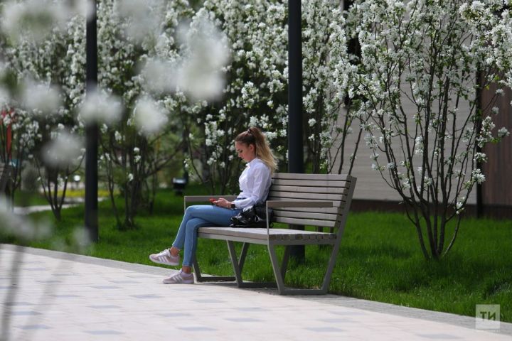 2024 елда Чаллыда кайсы парклар төзекләндереләчәк?
