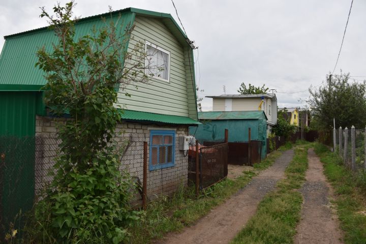 Бакчалар популярлаша шикелле