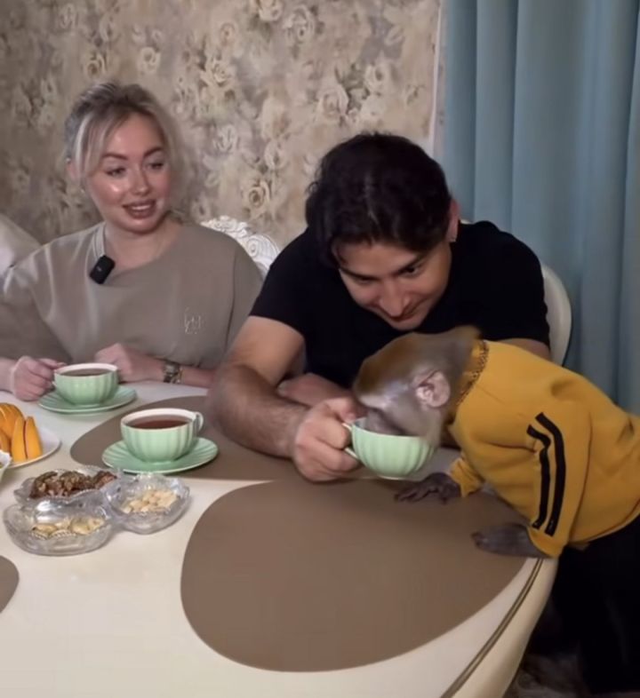Данир Сабировның маймылы нәрсә ярата?
