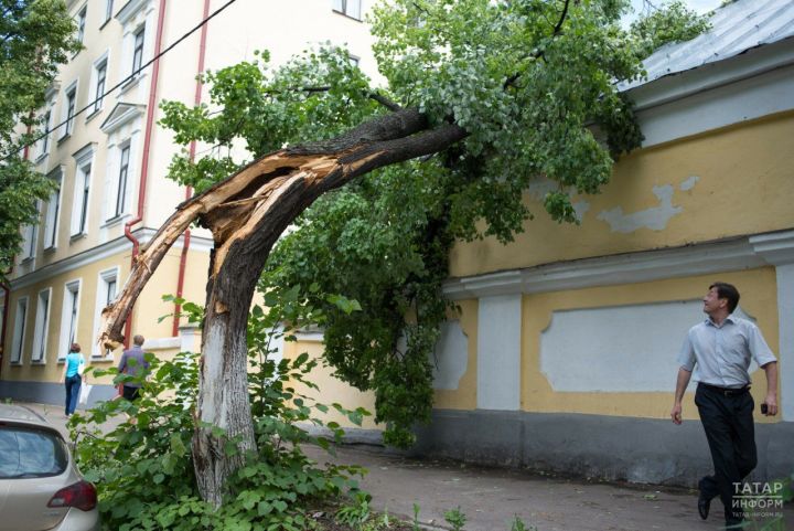 Синоптиклар: бозлы яңгыр, ураганнар көтелә