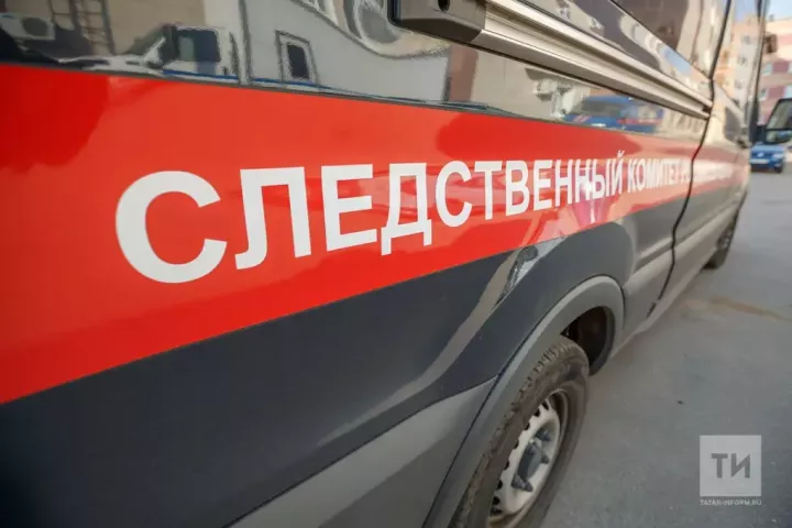 Абыйсын пычак белән кадап үтергән 11 яшьлек кыз күрсәтмәләр биргән