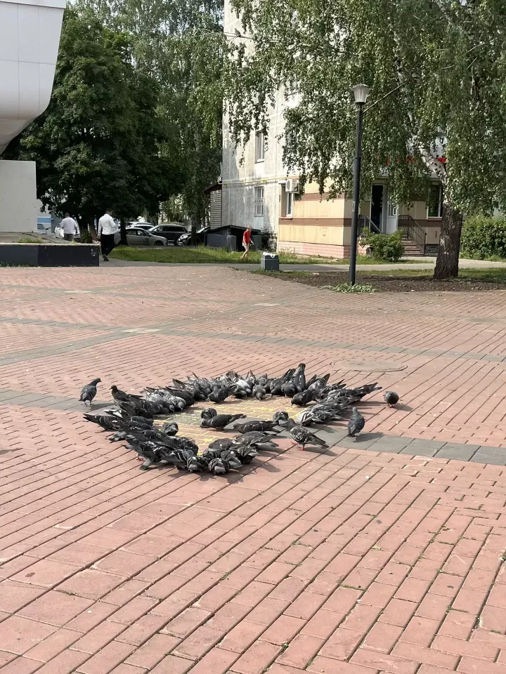 Көннәр әкрен генә сүрелә, яңгырлар килә