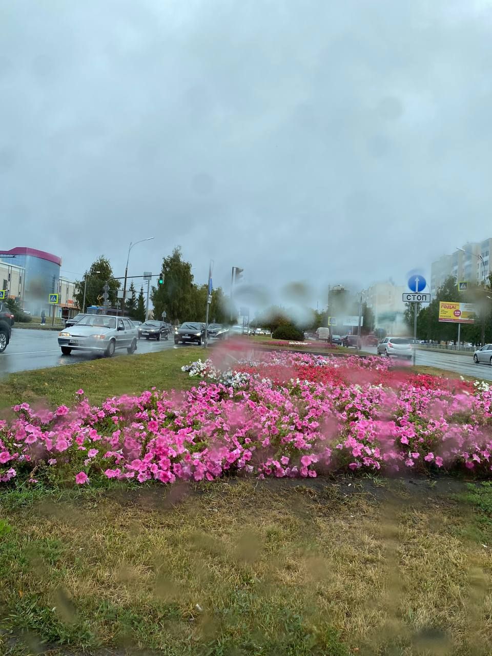 Һава торышы нинди булачак?