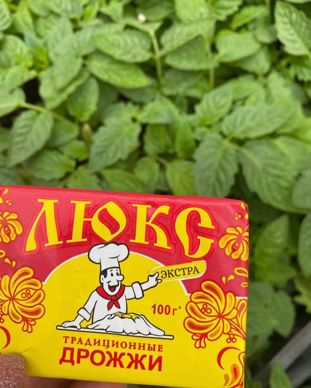 Үсемлекләргә нинди ашлама кулланырга?