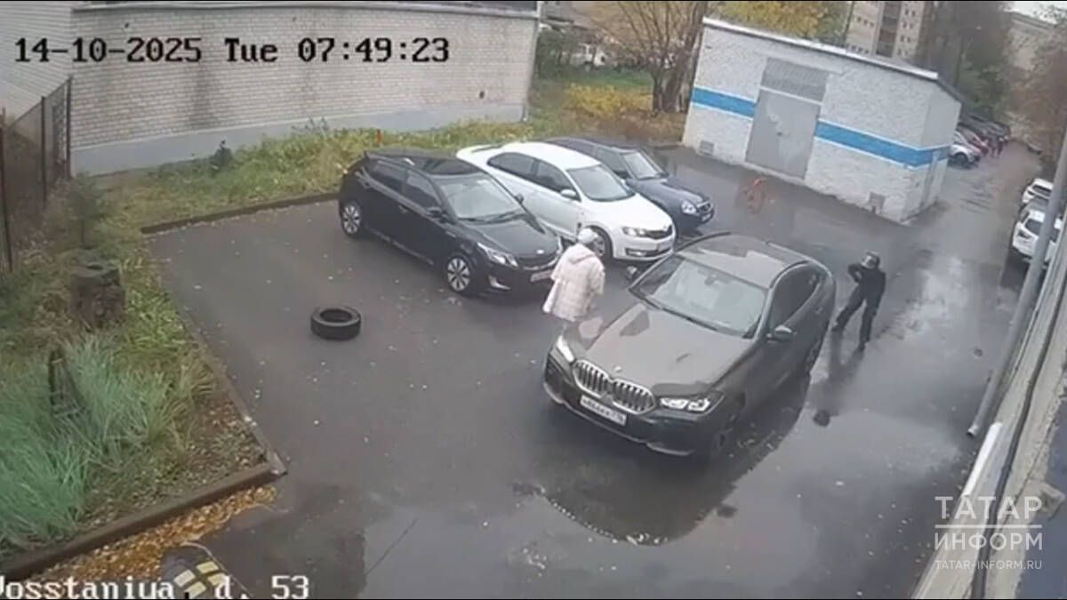 Җинаятьчеләр пычак белән яралаган Ирина Шевырева аңына килгән