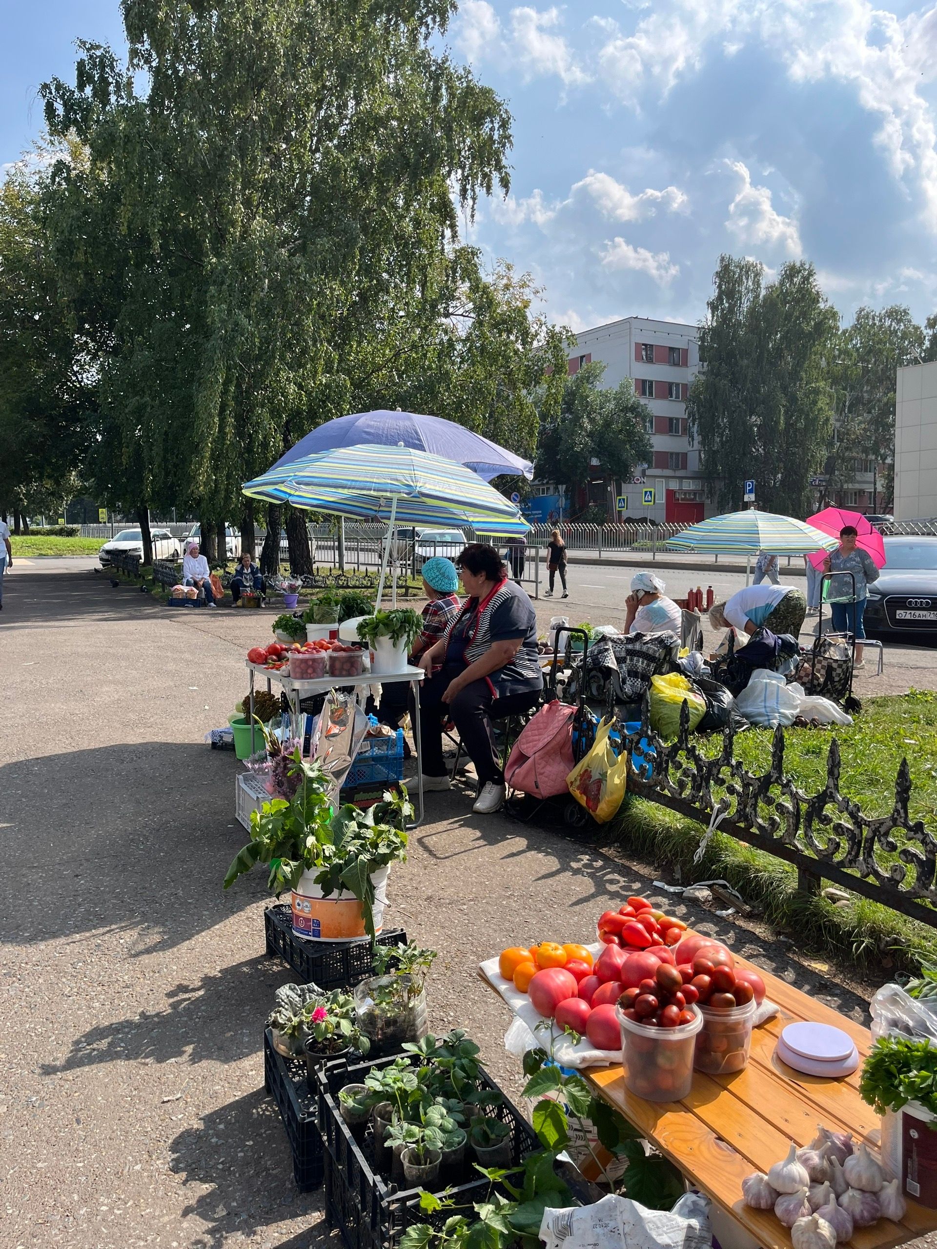 Бакчачылар базарда үзләреннән артык калган уңыш белән сәүдә итә