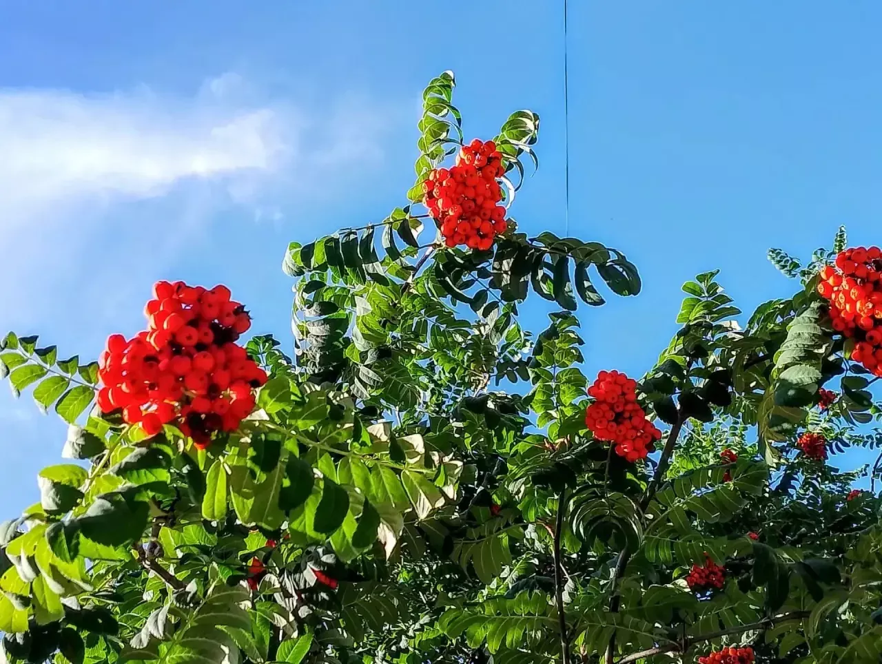 Татарстанда ял көннәрендә һәм киләсе атна башында  суыта