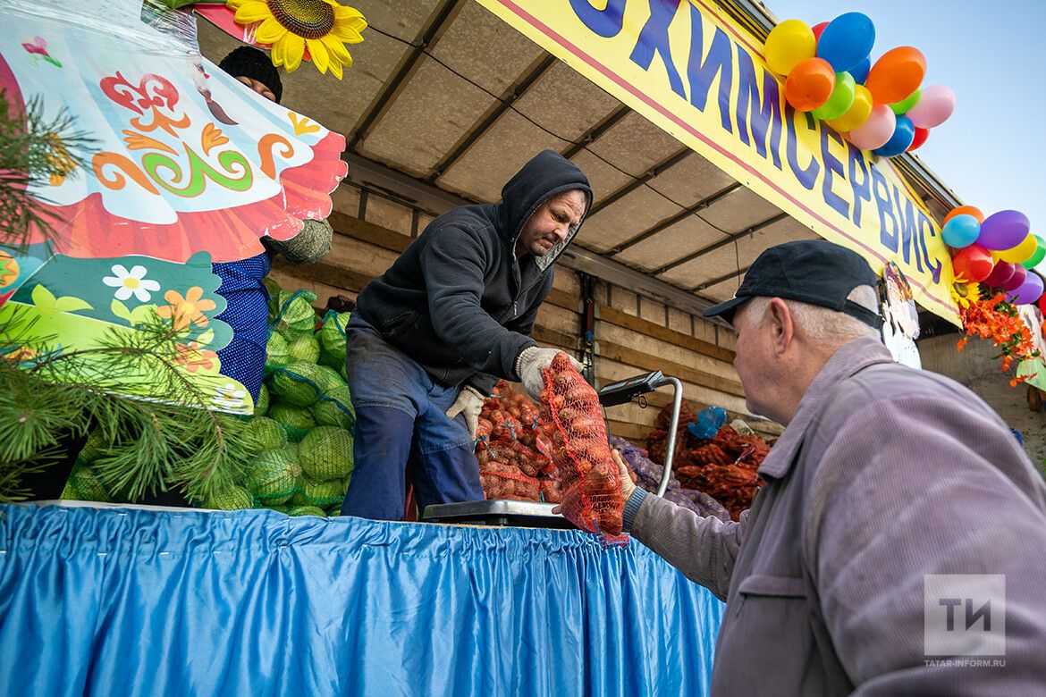 Татарстанда көзге авыл хуҗалыгы ярминкәләре башлана