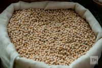 Орлыкларны дөрес сайлагыз