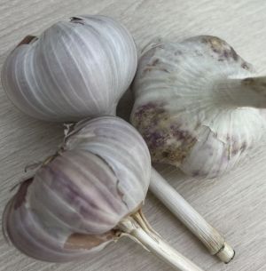 Сарымсакның файдасы бик күп