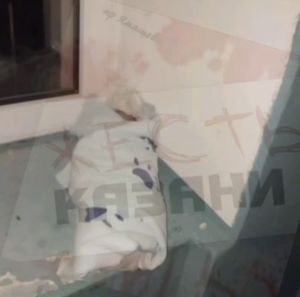 Татарстанда яңа туган сабыйны ташлаганнар