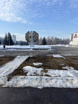 Бүген суыграк