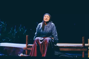 Чаллы артистлары «Тантана» премиясенә дәгъва кыла