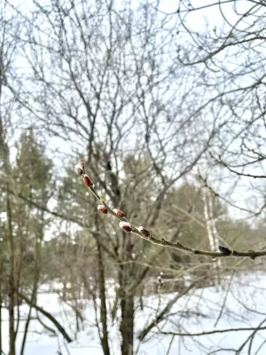 Бүген кояшлы көн