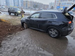 «Үзләрен генә утыртмасыннар иде»