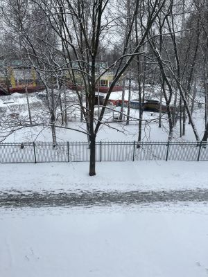 Бүген кояш чыгармы?