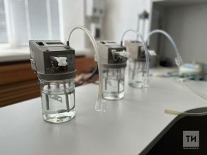 Кәнфит ашау правасыз калдырырга мөмкин