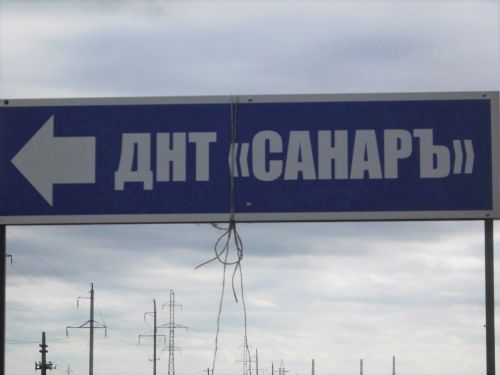 Хатынын үтереп, бакчасында күмеп куйган