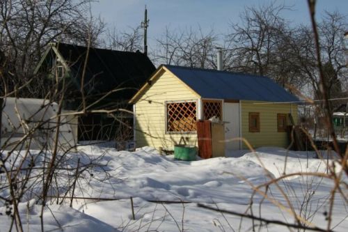 Мартта бакчадагы җимеш агачларын нишләтергә кирәк?