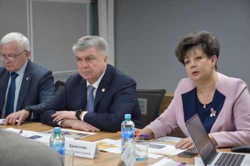 Наил Мәһдиевка бер эшмәкәр проекты ошамады