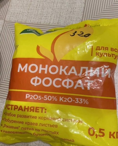 Карлыган, крыжовник, кура җиләге куакларын тукландыру