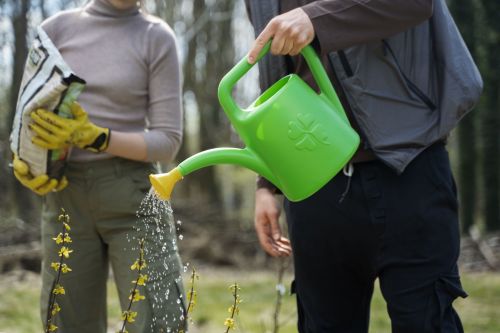 Эсседә бакчадагы үсемлекләргә суны ничек сибәргә?
