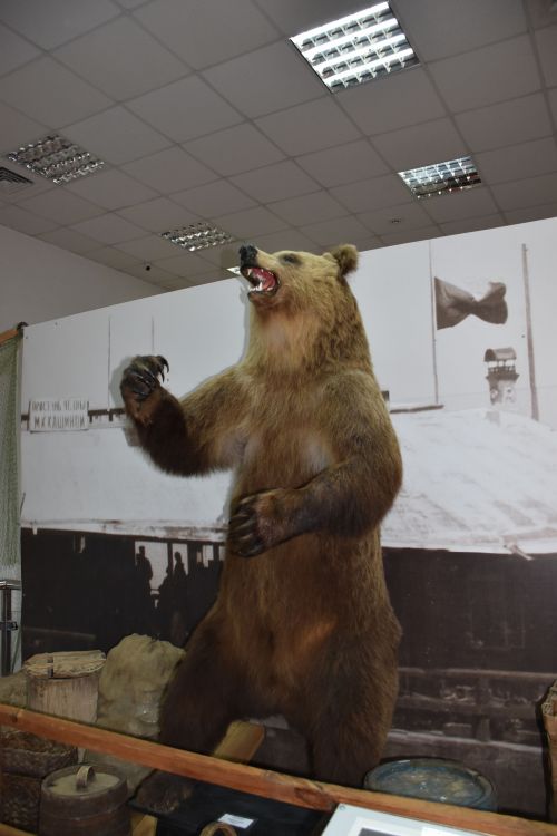 «Музейда төн»: әле күп нәрсәне белмибез икән - ФОТО, ВИДЕО