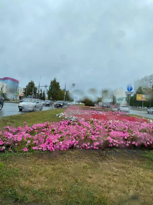 Һава торышы нинди булачак?