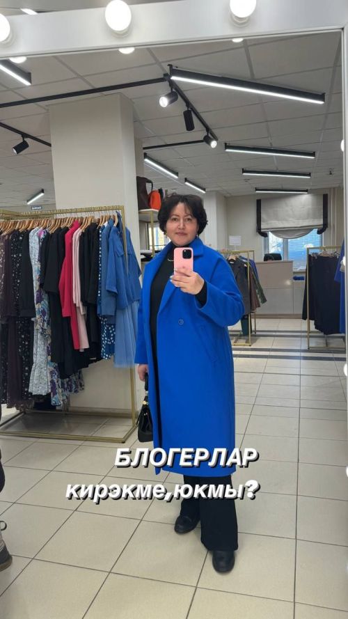 Рәмзия Әхмәдуллина: «Без, блогерлар булмасак, нишләр идегез?»
