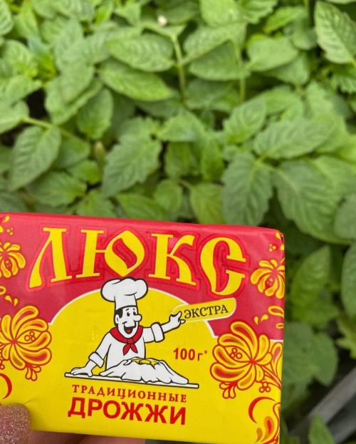 Үсемлекләргә нинди ашлама кулланырга?