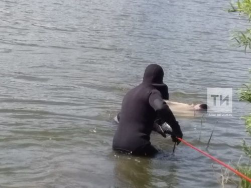 Чаллы елгасында ир-ат мәете таптылар