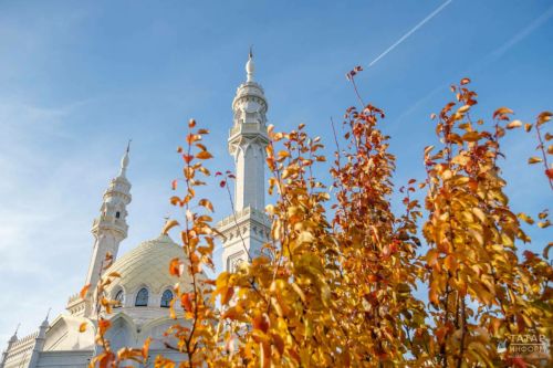 Сак булыгыз: бозлавык
