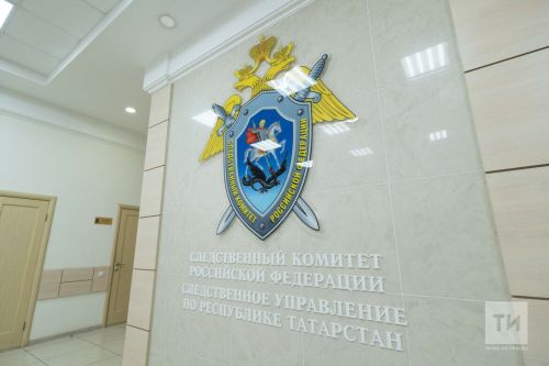 Чаллыда мигрантка карата җинаять эше ачылды