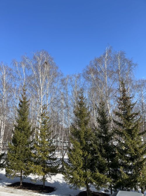 Бүген нинди һава торышы?