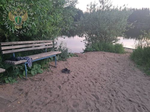 Тукай районында яшүсмер суга баткан