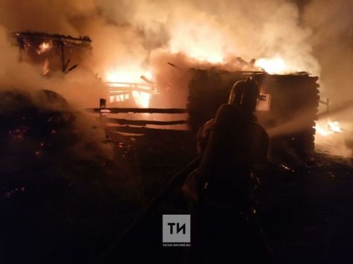 Татарстанда янгында 14 яшьлек бала һәлак булды
