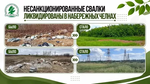 Чаллыда законсыз чүплекләр юк ителде